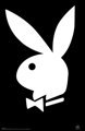 techno and playboy - 