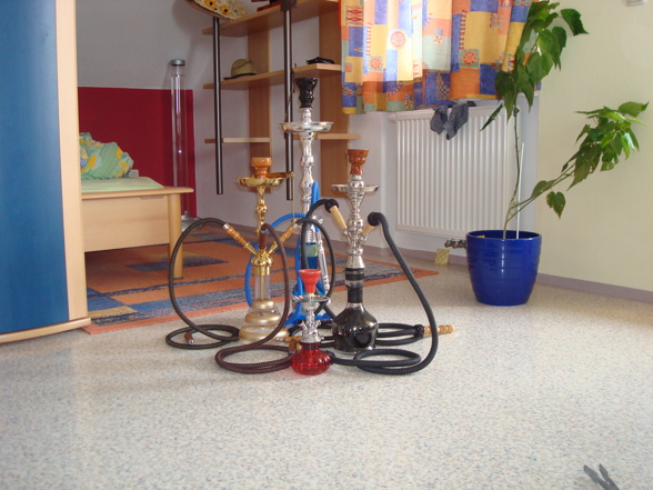 ShiSha =) - 