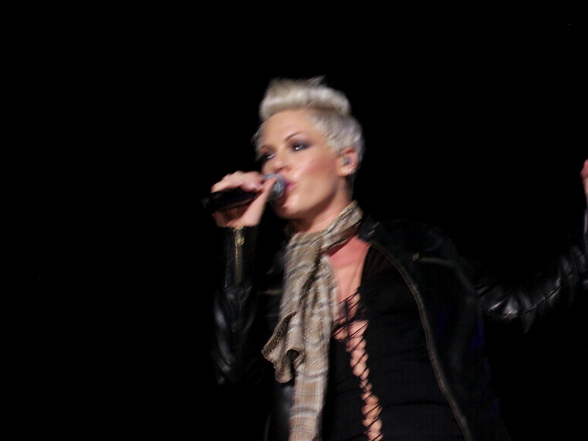 Pink Konzert Burg Klam 2007 - 