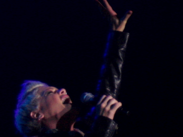 Pink Konzert Burg Klam 2007 - 