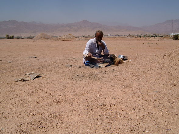 Ägypten 2008 - 