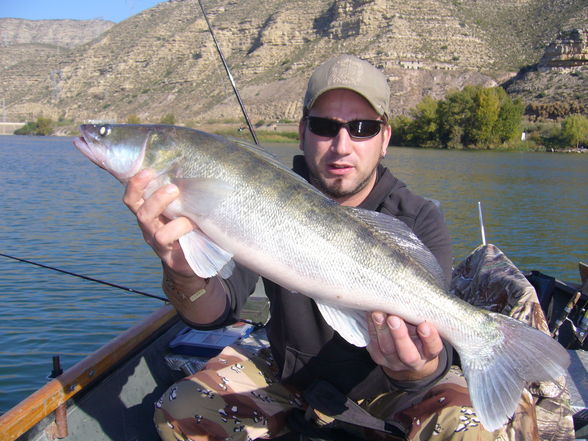 Ebro 2008  - 