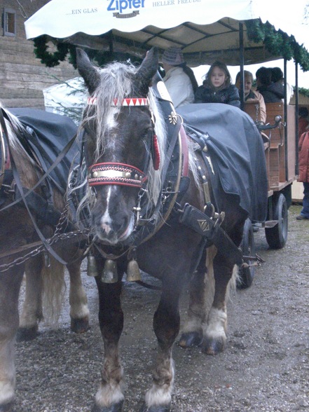 adventmarkt stehrerhof 2007-12-09 - 