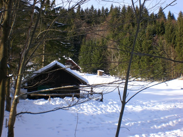 hochsteinalm 2008-01-03 - 