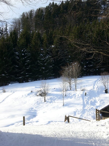 hochsteinalm 2008-01-03 - 