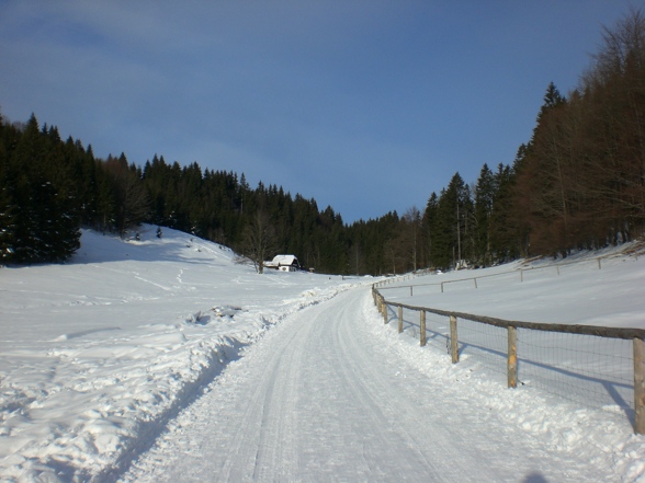 hochsteinalm 2008-01-03 - 