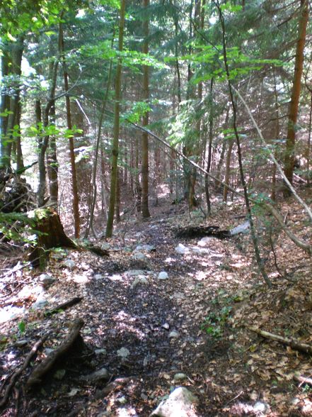 grünau,hauergraben - durchgang - mairalm - 