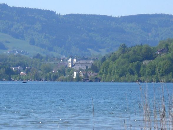 2008-08-17 mondsee - 