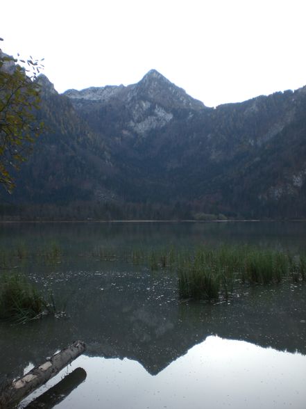 offensee 2008-10-26 - 