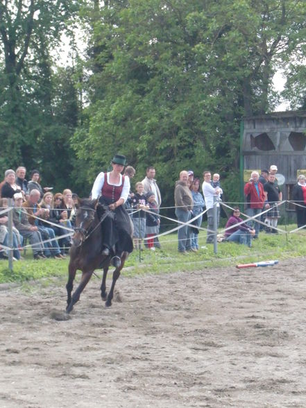 highland games bad wimsbach - 