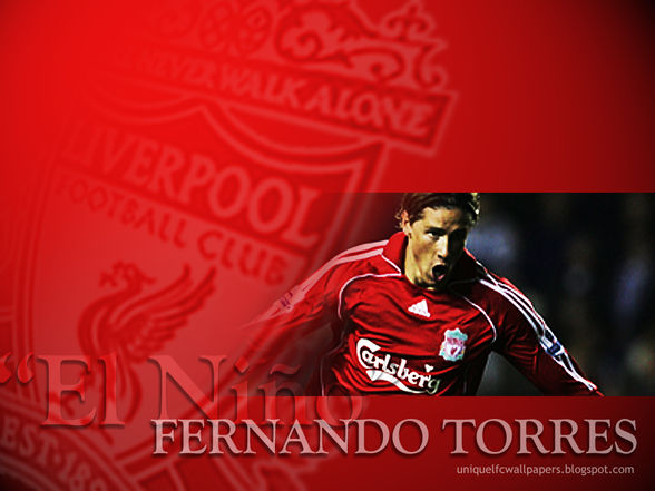 Fernando Torres - mein Vorbild - 