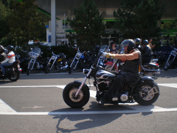 Harley Treffen 2009 - 