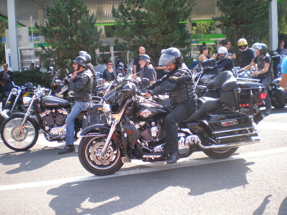 Harley Treffen 2009 - 