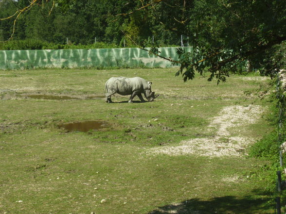 Tierpark Schmiding - 