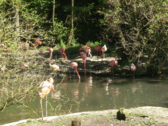 Tierpark Schmiding - 