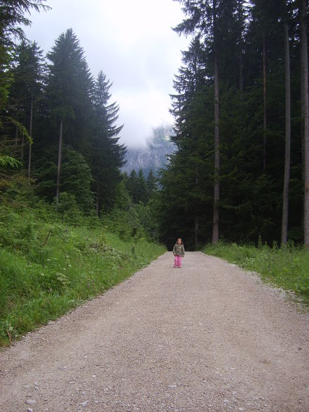 Langbathsee und Brunnkogel - 