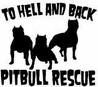 pit bull - 