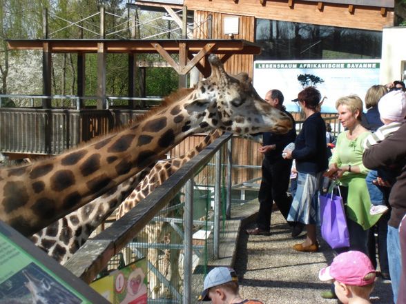 Zoo Schmiding - 