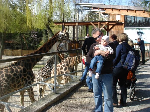 Zoo Schmiding - 