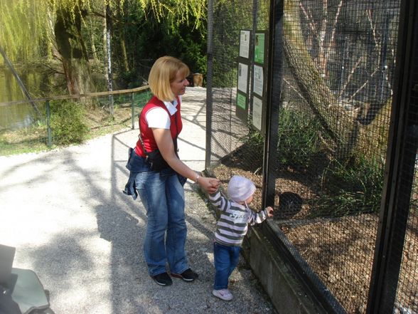 Zoo Schmiding - 