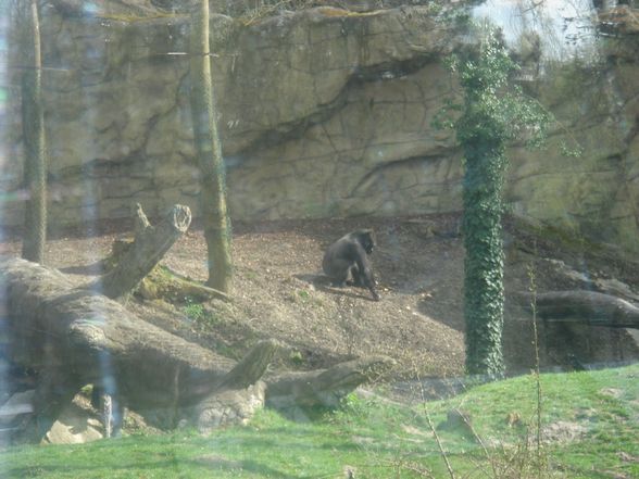 Zoo Schmiding - 