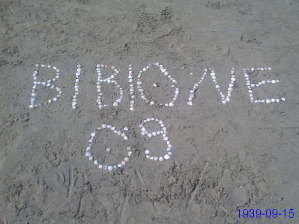 BIBIONE 09.... - 