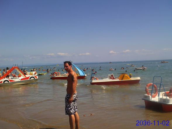 BIBIONE 09.... - 