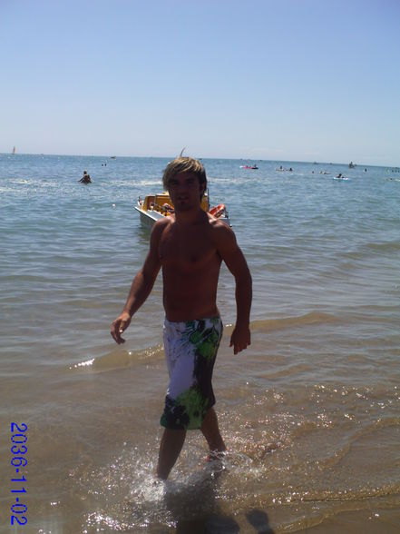 BIBIONE 09.... - 