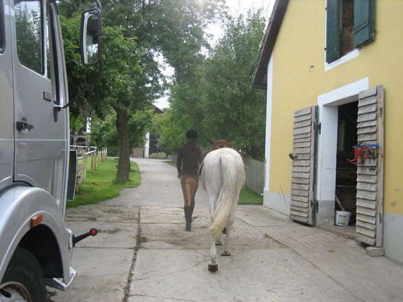 reiten 2009 - 