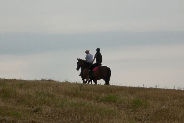 reiten 2009 - 