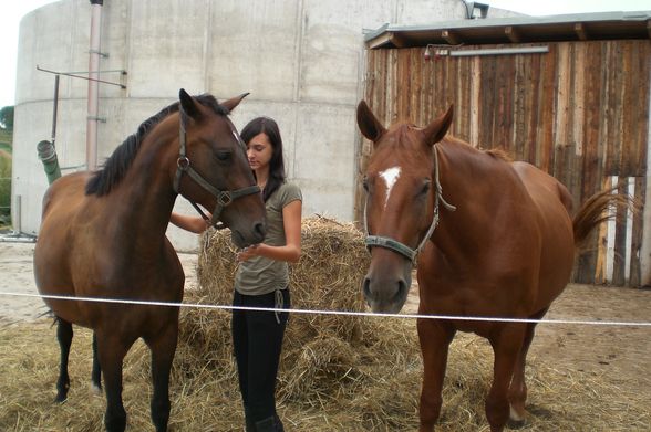 reiten 2009 - 