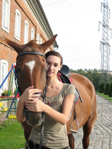 reiten 2009 - 