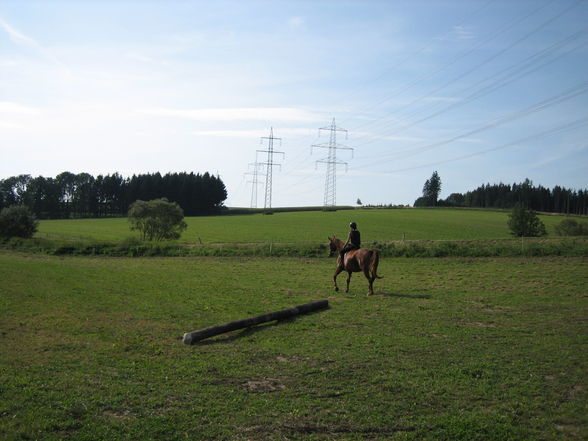 reiten 2009 - 