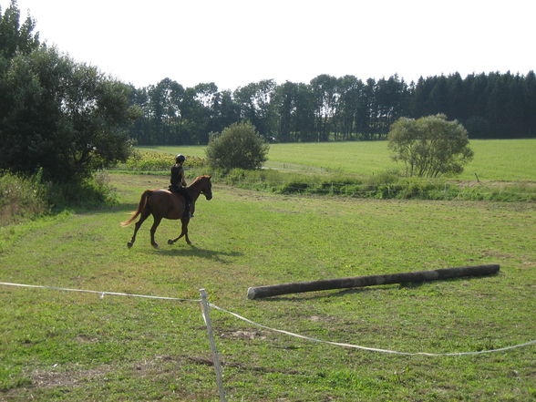 reiten 2009 - 