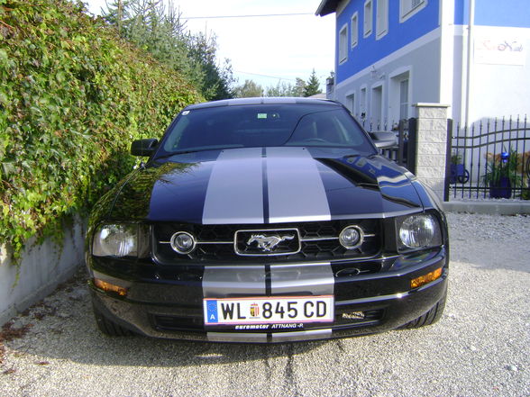 mein neues Auto seit 04.09.09 - 