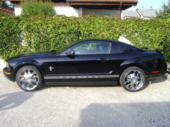 mein neues Auto seit 04.09.09 - 