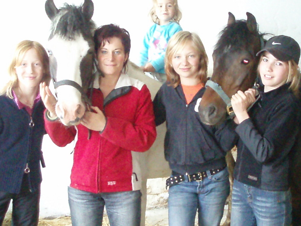 my horses - 