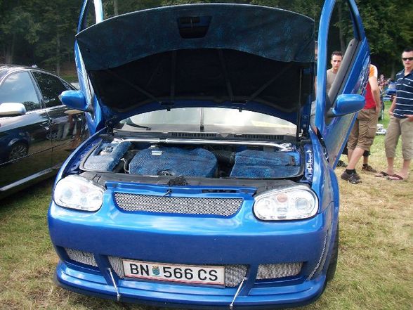 VW & Audi Treffen Waldhausen 2008 - 