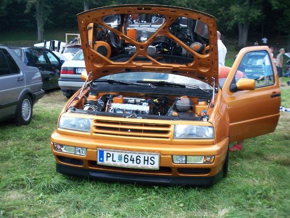 VW & Audi Treffen Waldhausen 2008 - 