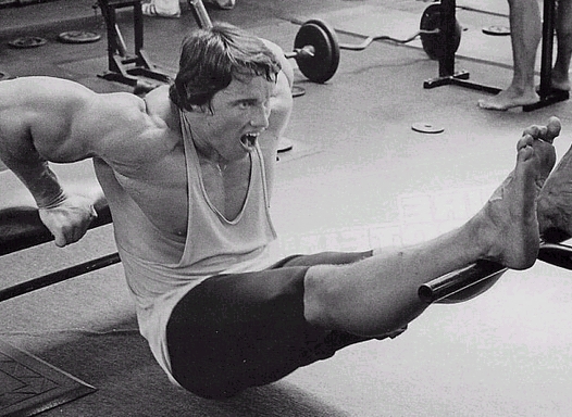 Arnold Schwarzenegger - 