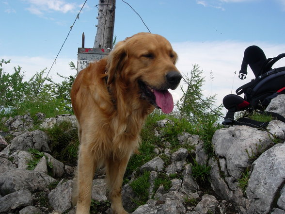 Expedition Ã–sterreich - 