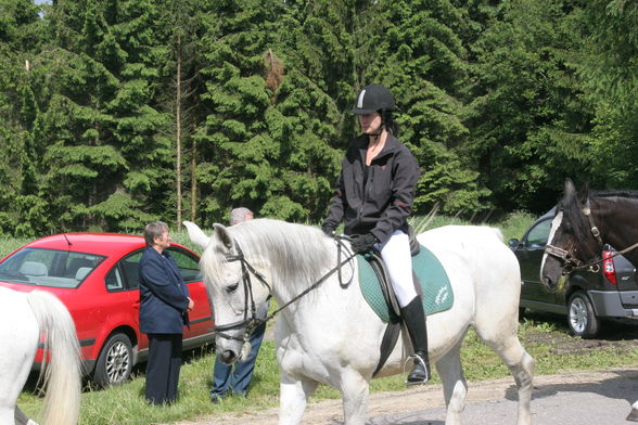 pingstritt und reiterfest 2009 - 