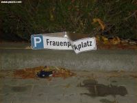 Bilder - 