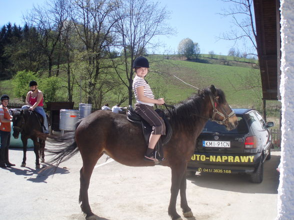 reiten.... - 