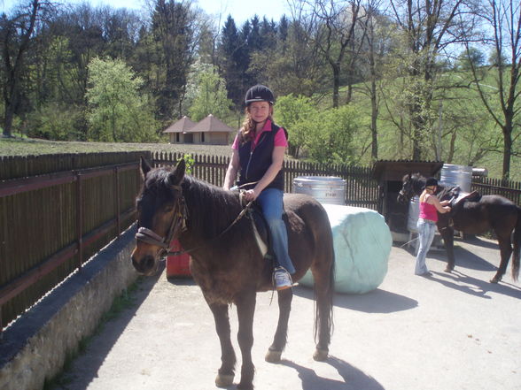 reiten.... - 