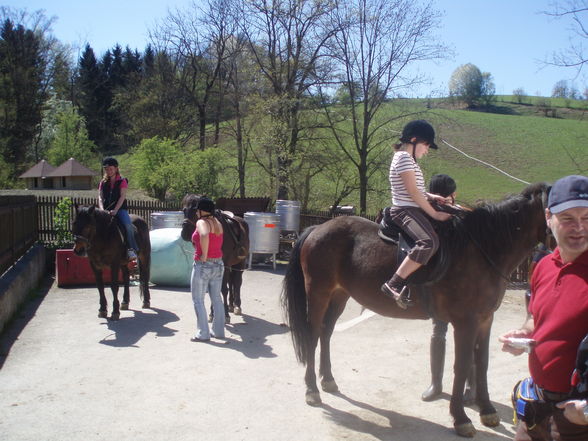 reiten.... - 