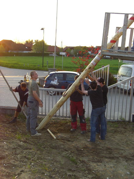 Da Maibaum bam Daniel - 