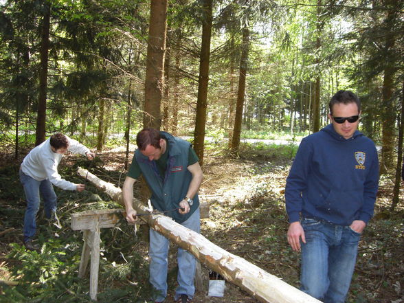 Da Maibaum bam Daniel - 