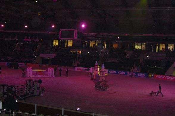 Pappas Amadeus Horse Indoors 2008 - 