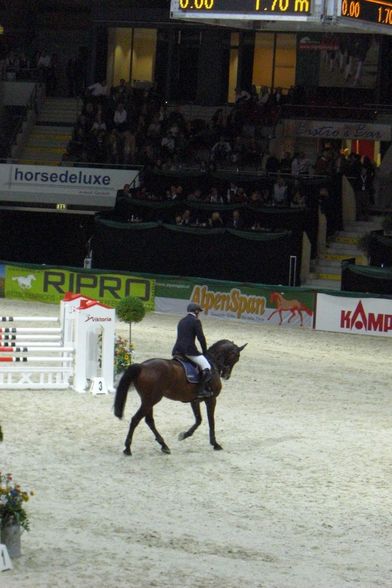 Pappas Amadeus Horse Indoors 2008 - 